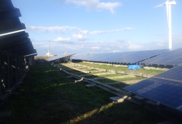 既存太陽光パネル・架台の撤去